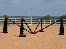 Load image into Gallery viewer, PolyJumps Spider set comprised of 2 pairs of Black 8 Cups and 4 9 Band Pro Poles coloured: Black and Pink.
