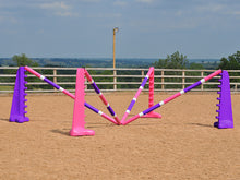 Load image into Gallery viewer, PolyJumps Spider set comprised of 2 pairs of Pink and Purple 8 Cups and 4 9 Band Pro Poles coloured: Pink, White and Purple. 

