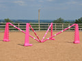 PolyJumps Spider set comprised of 2 pairs of Pink 8 Cups and 4 9 Band Pro Poles coloured: Pink and White.