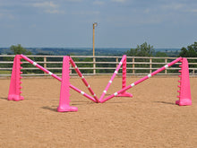 Load image into Gallery viewer, PolyJumps Spider set comprised of 2 pairs of Pink 8 Cups and 4 9 Band Pro Poles coloured: Pink and White.

