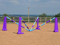PolyJumps Spider set comprised of 2 pairs of Purple 8 Cups and 4 9 Band Pro Poles coloured Club Style.