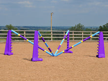 Load image into Gallery viewer, PolyJumps Spider set comprised of 2 pairs of Purple 8 Cups and 4 9 Band Pro Poles coloured Club Style.
