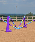 2 pairs of 8 Cup wings in Purple with 4 Club Style 9 Band Pro Poles in arena. 