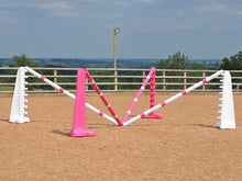 Load image into Gallery viewer, PolyJumps Spider set comprised of 2 pairs of Pink and White 8 Cups and 4 9 Band Pro Poles coloured: Pink and White.
