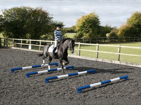 Horse and rider trotting over 4 5 Band Poles Blue and White red PolePods.