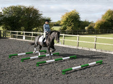 Load image into Gallery viewer, Horse and rider trotting over 4 5 Band Poles Green and White red PolePods.
