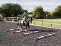 Horse and rider trotting over 4 5 Band Poles Pink and White red PolePods.
