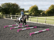 Load image into Gallery viewer, Horse and rider trotting over 4 5 Band Poles Pink and White red PolePods.
