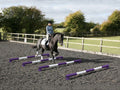 Horse and rider trotting over 4 5 Band Poles Purple and White red PolePods.