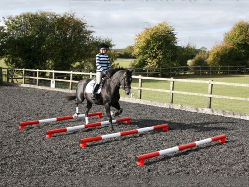 Horse and rider trotting over 4 5 Band Poles Red and White red PolePods.