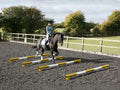 Horse and rider trotting over 4 5 Band Poles Yellow and White red PolePods.