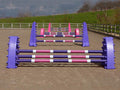 4 fences, from front to back: 1 pair of purple Hedgehogs with 3 Pro Poles, 9 Band coloured: Purple, White & Pink. 1 pair of Purple 8 Cups with 2 more poles. 1 pair of Pink Hedgehog Jumps with 3 Poles and 1 set of Pink 8 Cups with 2 more Pro Poles. 