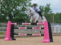 Horse jumping over 2 pairs of Black and Pink 8 Cups with 3 9 band Pro Poles coloured: Pink, White & Black. 