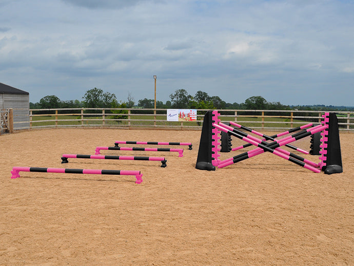 4 rows of Mini Blocks alternating pink and black with pink and black 7 Band Pro Poles. Black and pink 8 Cups with matching 7 Band Pro Poles, with black Hedgehogs behind with 2 more 7 band Pro Poles.