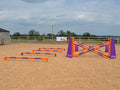 4 rows of Mini Blocks alternating Orange and Purple with Orange and Purple 7 Band Pro Poles. Purple and Orange 8 Cups with matching 7 Band Pro Poles, with Purple Hedgehogs behind with 2 more 7 band Pro Poles.
