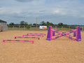 4 rows of Mini Blocks alternating Pink and Purple with Pink and Purple 7 Band Pro Poles. Purple and Pink 8 Cups with matching 7 Band Pro Poles, with Purple Hedgehogs behind with 2 more 7 band Pro Poles.