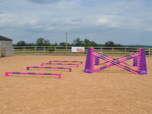 Load image into Gallery viewer, 4 rows of Mini Blocks alternating Pink and Purple with Pink and Purple 7 Band Pro Poles. Purple and Pink 8 Cups with matching 7 Band Pro Poles, with Purple Hedgehogs behind with 2 more 7 band Pro Poles.
