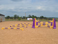 4 rows of Mini Blocks alternating Yellow and Purple with Yellow and Purple 7 Band Pro Poles. Purple and Yellow 8 Cups with matching 7 Band Pro Poles, with Purple Hedgehogs behind with 2 more 7 band Pro Poles. 