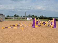 Load image into Gallery viewer, 4 rows of Mini Blocks alternating Yellow and Purple with Yellow and Purple 7 Band Pro Poles. Purple and Yellow 8 Cups with matching 7 Band Pro Poles, with Purple Hedgehogs behind with 2 more 7 band Pro Poles. 
