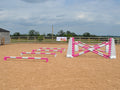4 rows of Mini Blocks alternating Pink and White with Pink and White 7 Band Pro Poles. White and Pink 8 Cups with matching 7 Band Pro Poles, with White Hedgehogs behind with 2 more 7 band Pro Poles.
